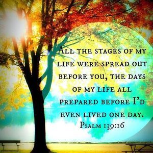 Meet your Posher, Iac