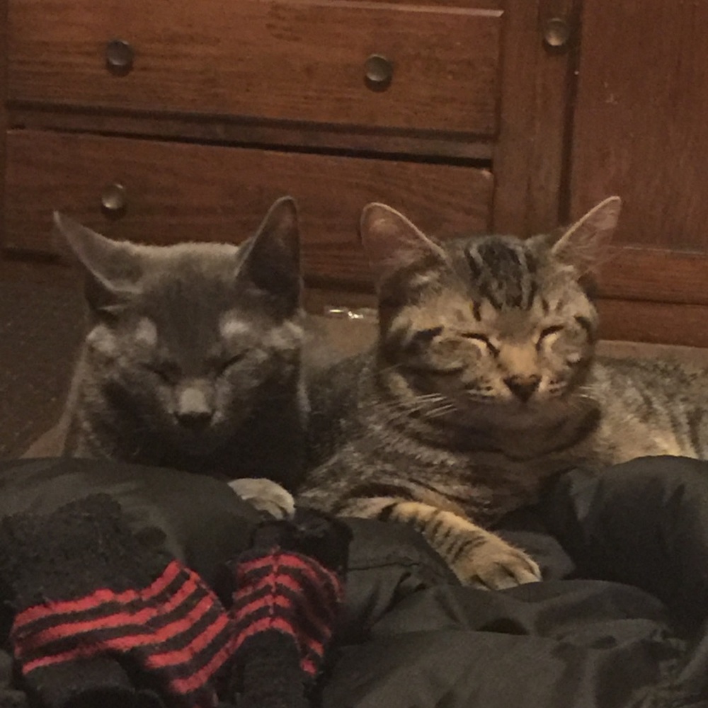 Meet your Posher, Kelly