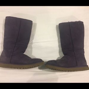 Tall Purple Uggs (Authentic)