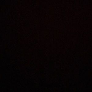 Meet your Posher, Bobby