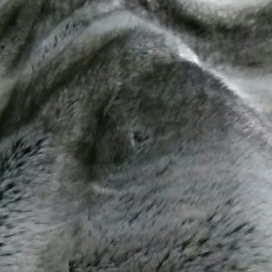 Meet your Posher, Whitney