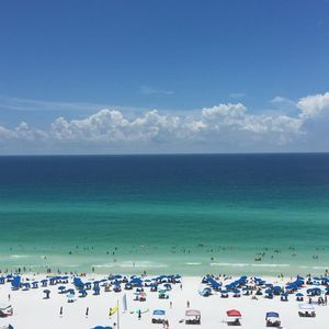 Meet your Posher, Danette