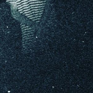 Meet your Posher, Angel