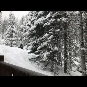 Meet your Posher, Christian