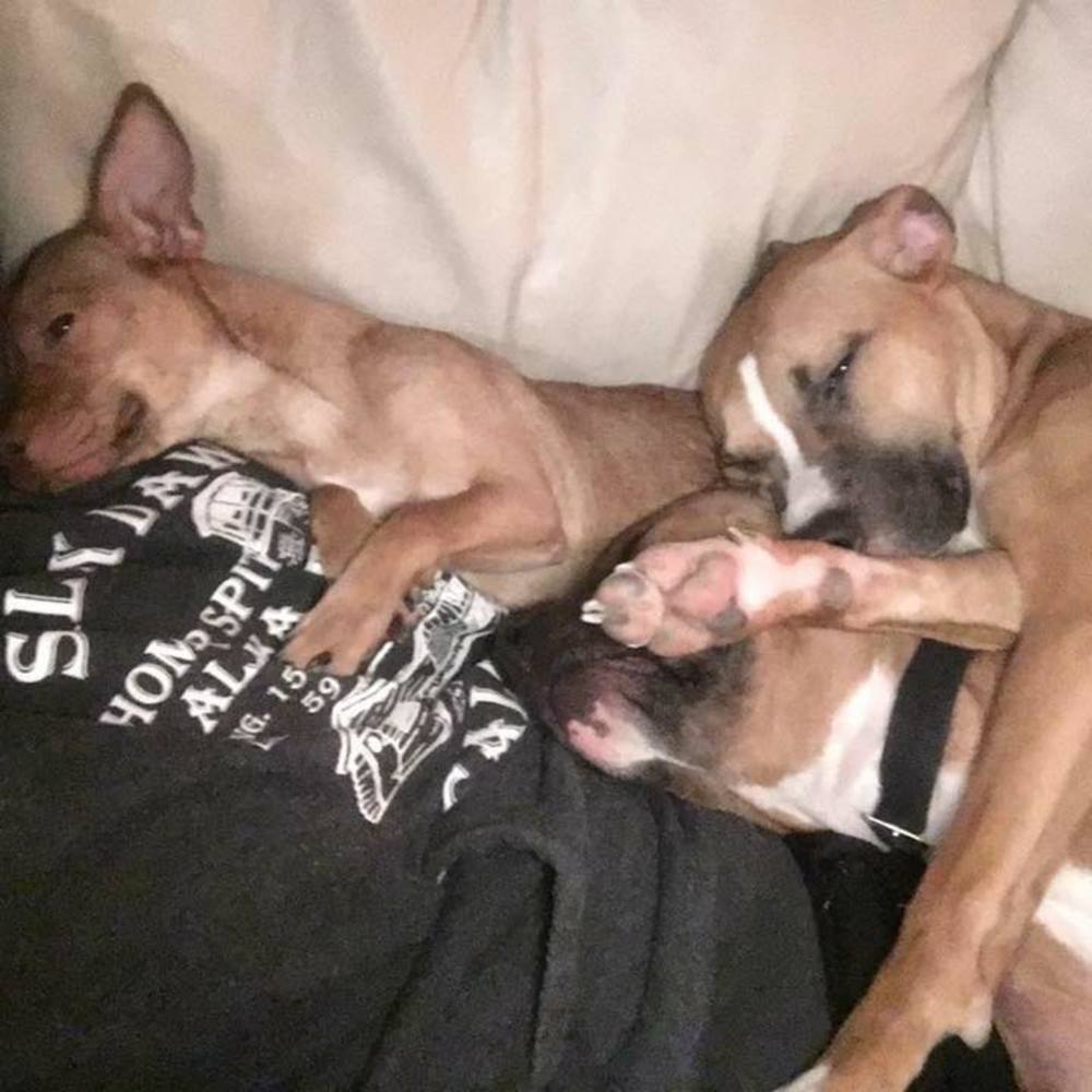 Meet your Posher, Jamei