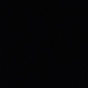 Meet your Posher, Patty