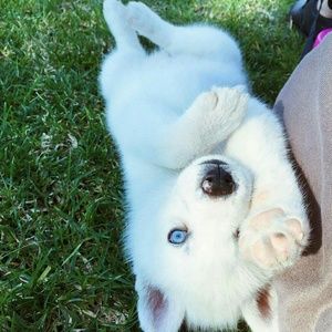 Meet your Posher, Quynh