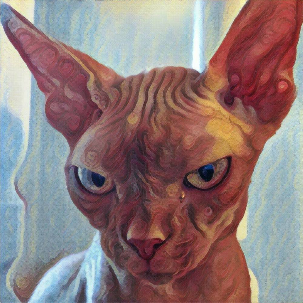 Meet your Posher, Bok