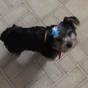 Meet your Posher, Tanya