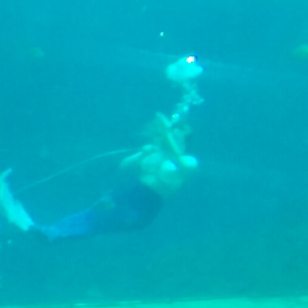 Meet your Posher, Cris