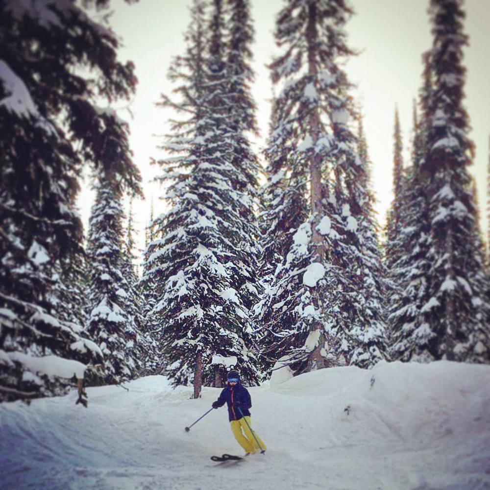 Meet your Posher, Liz