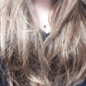 Meet your Posher, Sheila