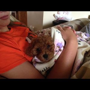 Meet your Posher, Laura