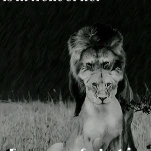 Meet your Posher, Diana