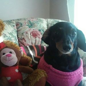 Meet your Posher, Rebecca