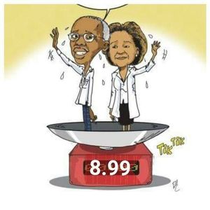 Meet your Posher, Raphael