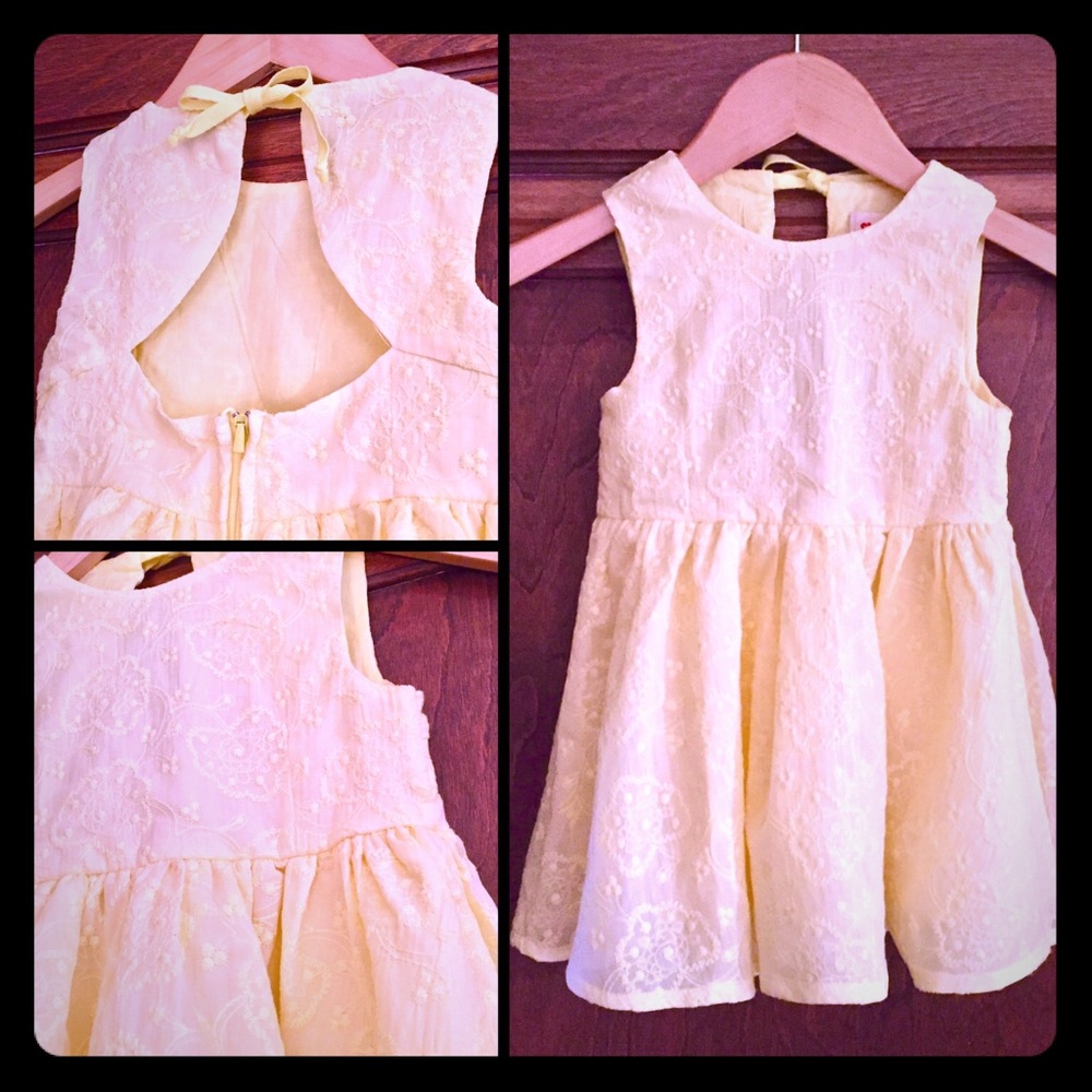 💵⬇️ NWOT Siaomimi Embroidered Buttercup Dress 3T