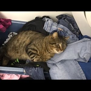 Meet your Posher, Asia