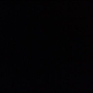 Meet your Posher, Gracie jo