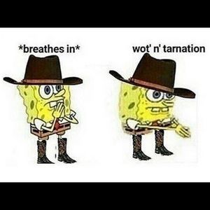 Meet your Posher, Shawn