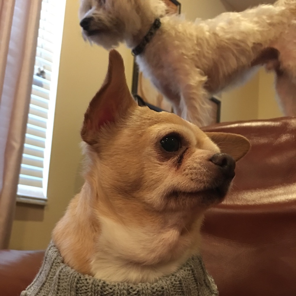 Meet your Posher, Carley