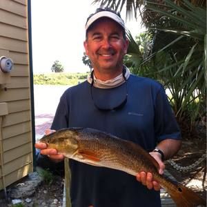 Meet your Posher, Bob