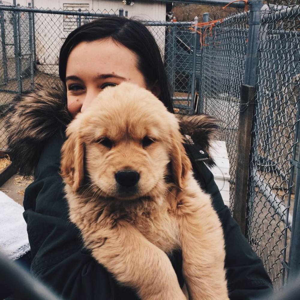 Meet your Posher, Ella