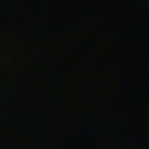 Meet your Posher, Dorothy