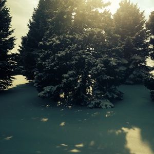 Meet your Posher, Esmeralda