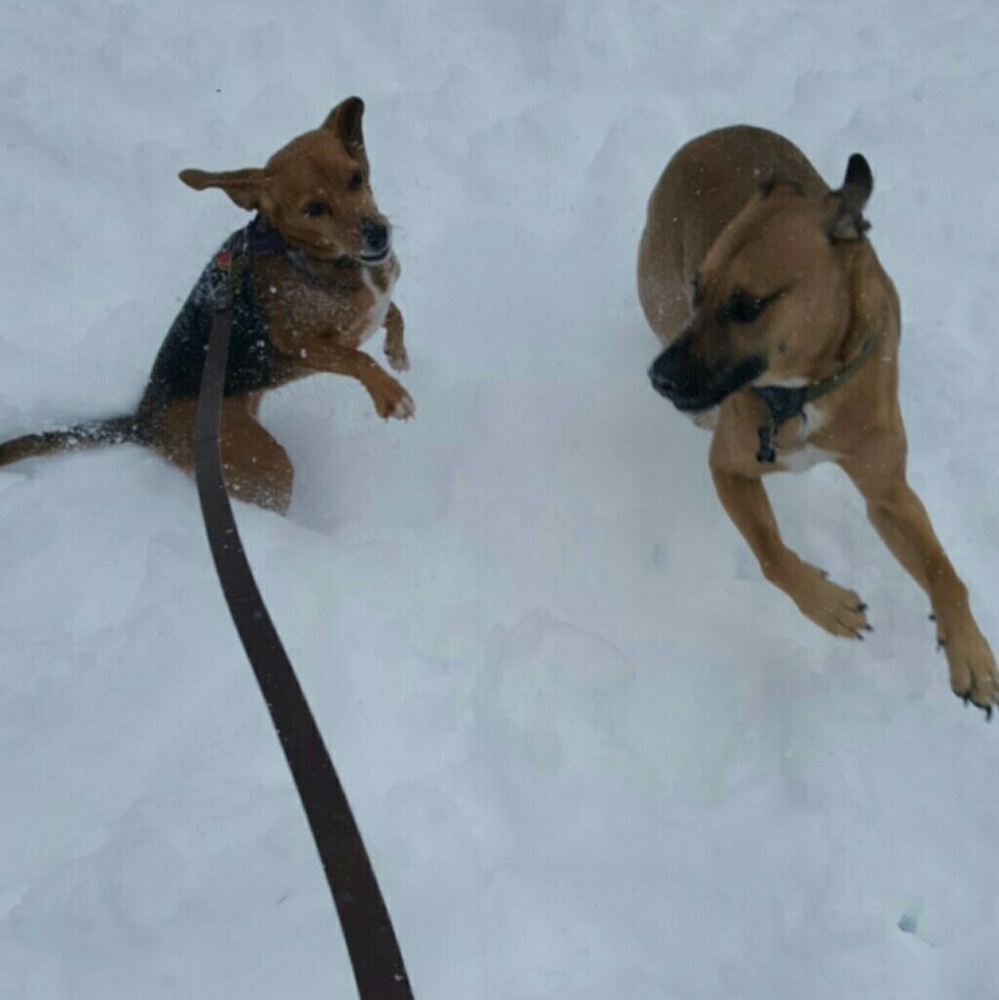 Meet your Posher, Melissa