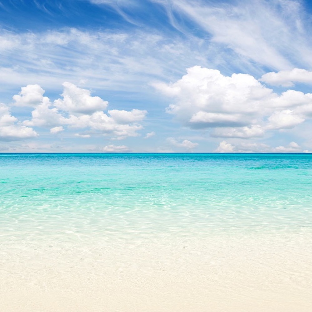 Beach Life