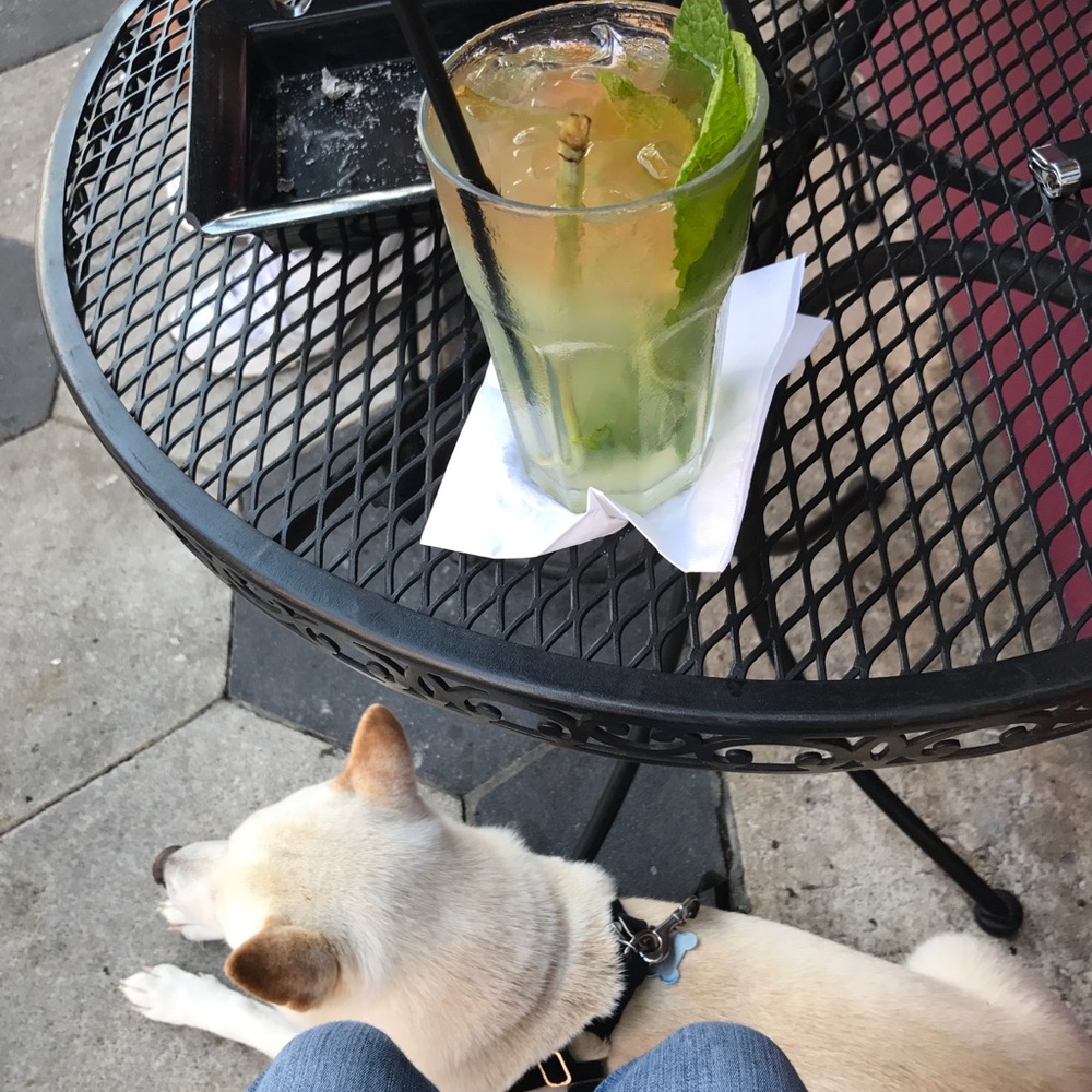 Meet your Posher, Jennifer Y.