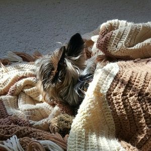 Meet your Posher, Claudia