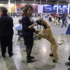 Meet your Posher, Lucia