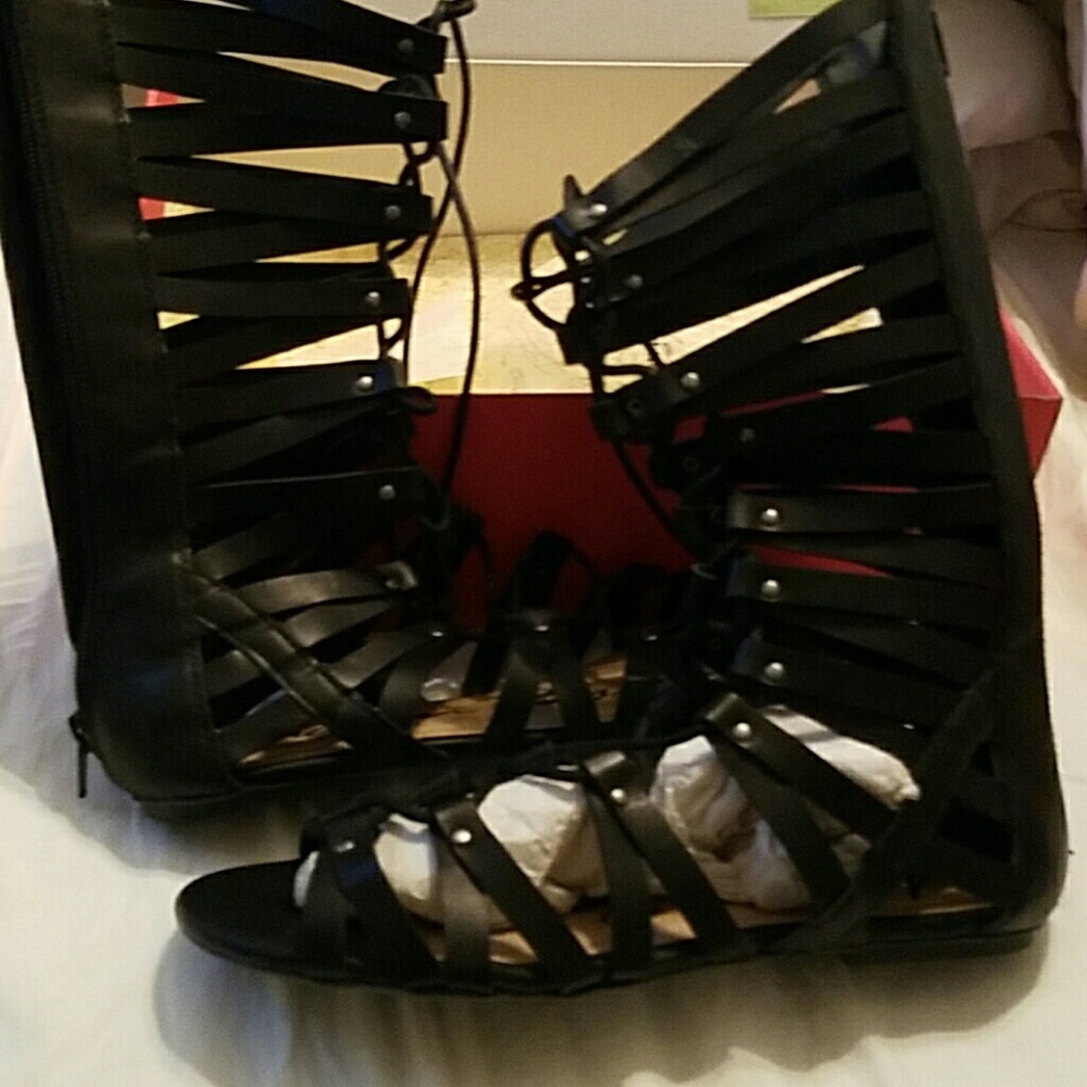 American Rag Gladiator sandals