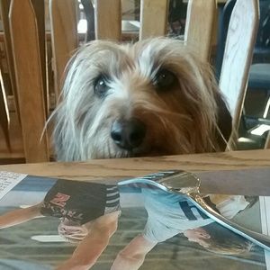 Meet your Posher, Irene