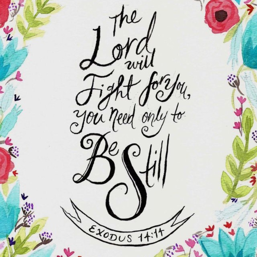 Meet your Posher, America