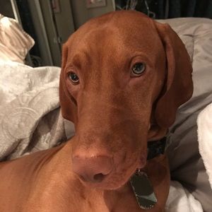 Meet your Posher, Lanette