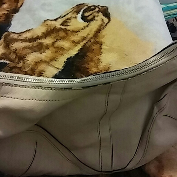 Coach purse - Picture 3 of 8