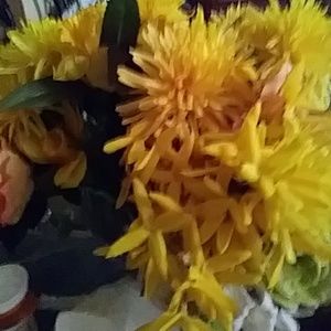 Meet your Posher, Cynthia