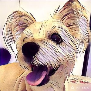 Meet your Posher, Delitz