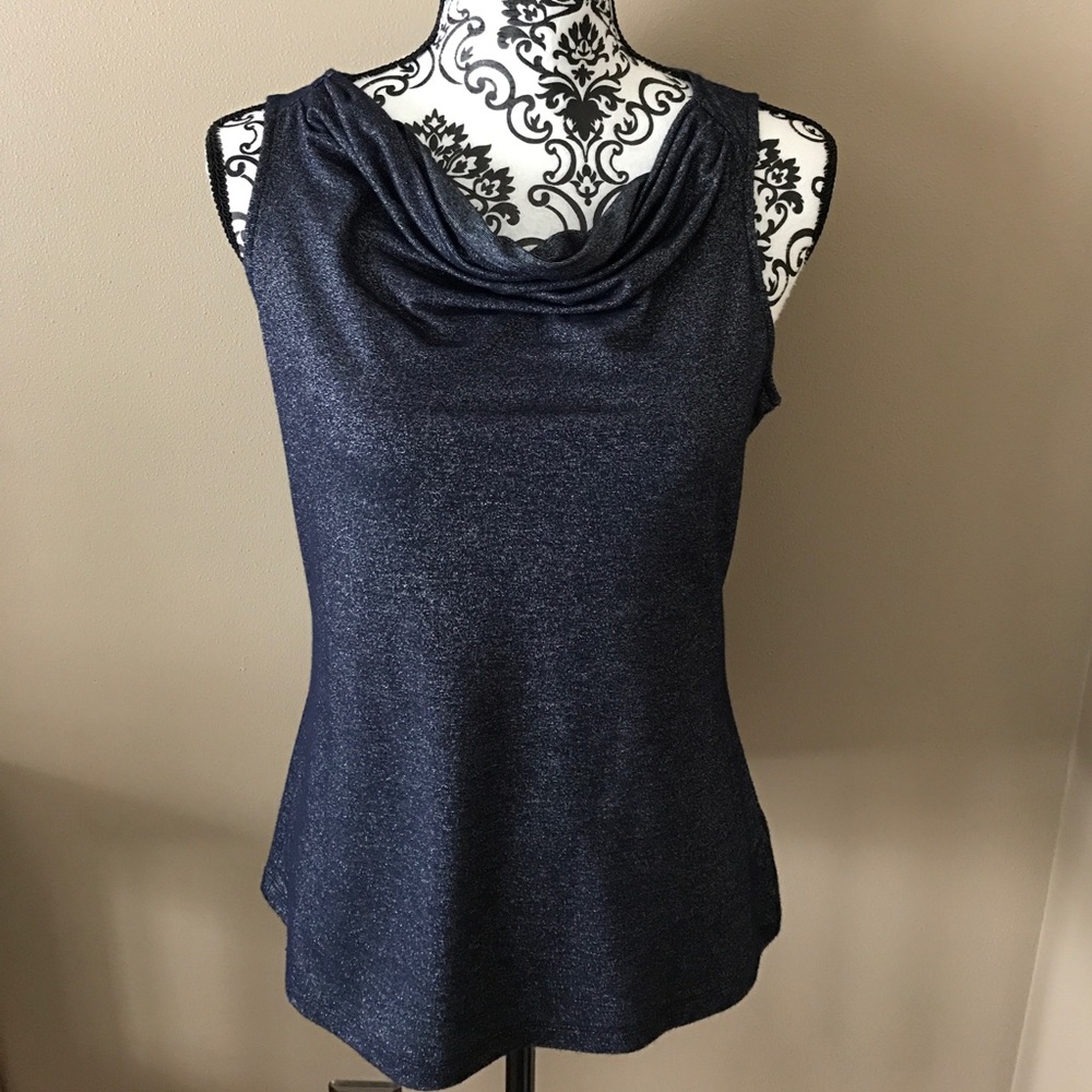Shimmery blue cowl neck top