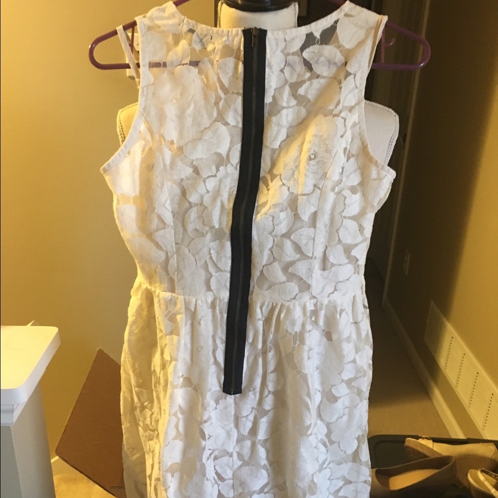 Lace Dress - Picture 4 of 4