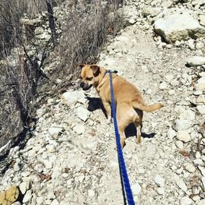 Meet your Posher, Shannon