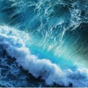 Meet your Posher, Ava