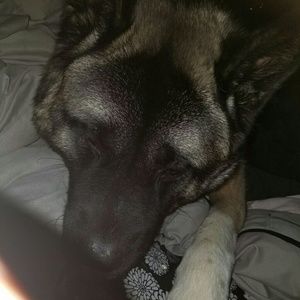 Meet your Posher, Denise