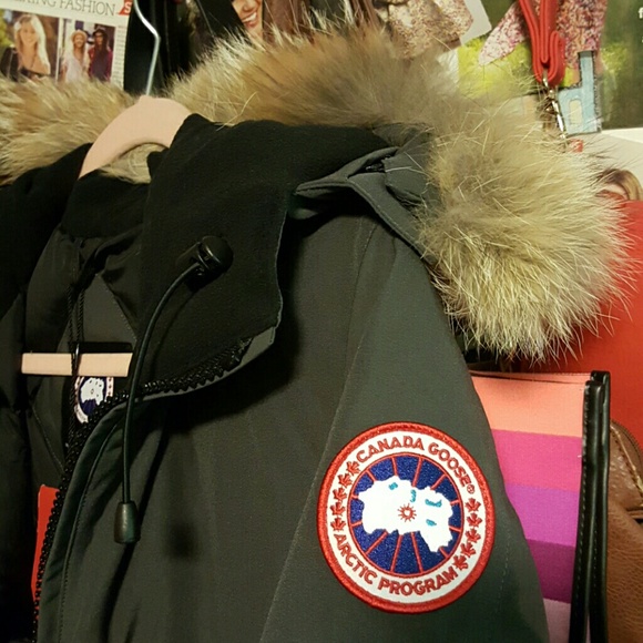Authentic  Canada Goose Arctic Coat - Picture 2 of 6