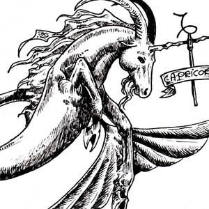 Meet your Posher, Idania