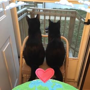 Meet your Posher, Michele