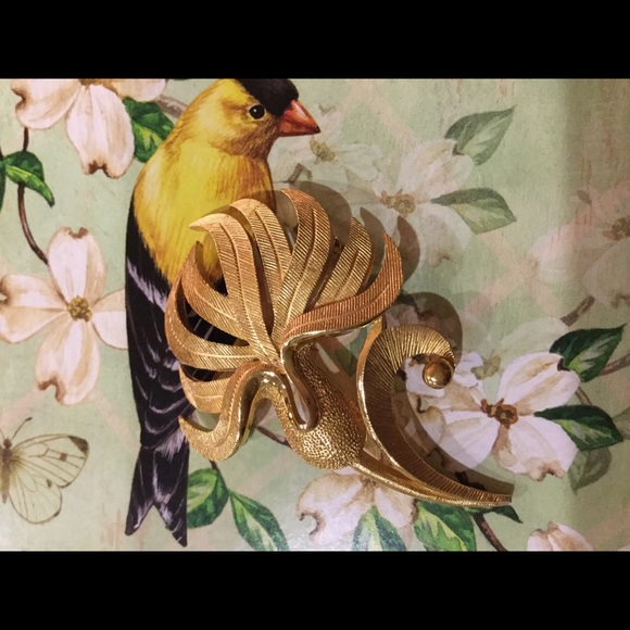 Meet your Posher, Rita - Picture 2 of 8